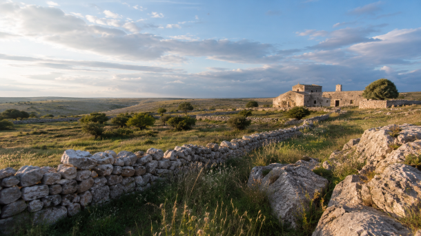 Paesaggio rurale nel territorio di Ruvo di Puglia